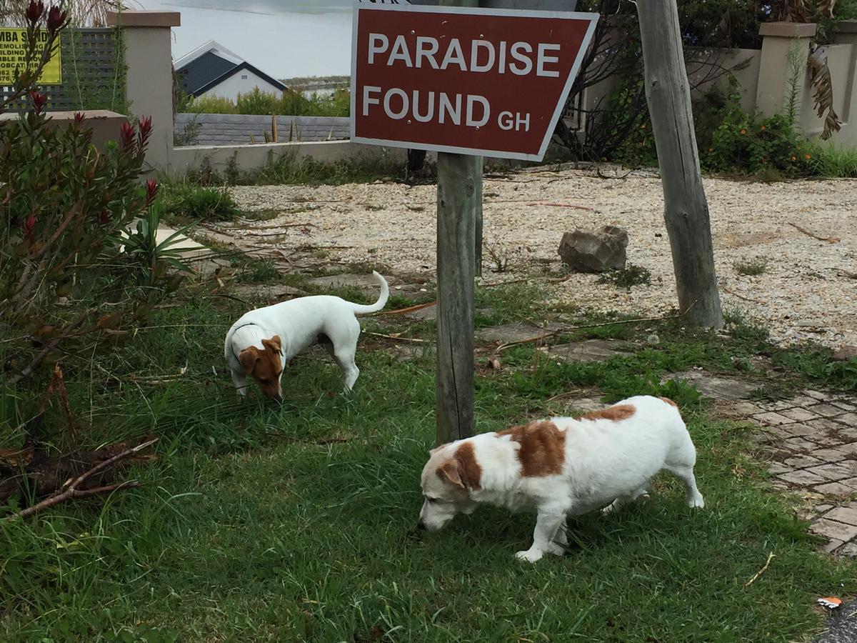 Paradise Found Knysna Eksteriør bilde